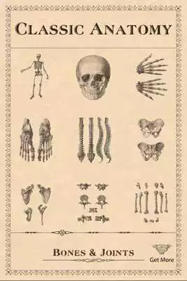 Play Classic Anatomy