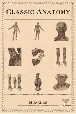 Play Classic Anatomy