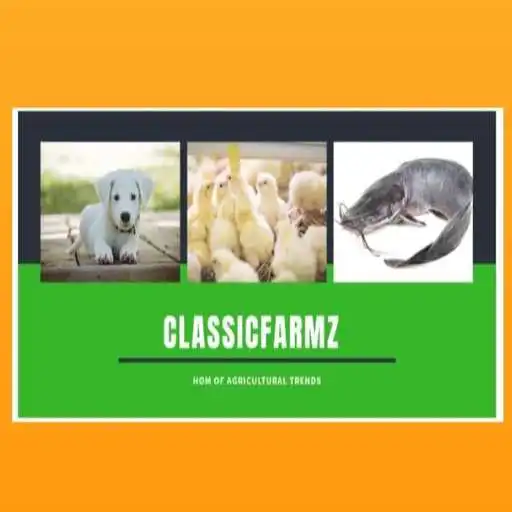 Play Classicfarmz APK Play Classicfarmz APK