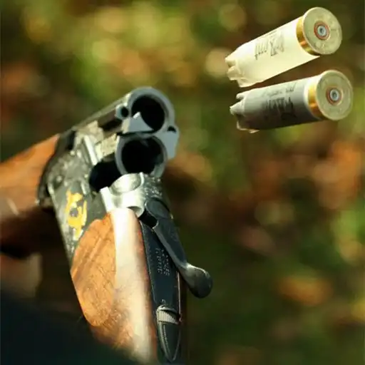 Play CLAY SKEET SHOOTING APK