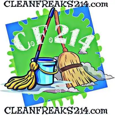 Play Clean Freaks 214