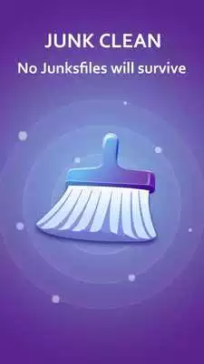 Play Clean Lion