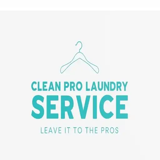 Play Clean Pro Laundry APK