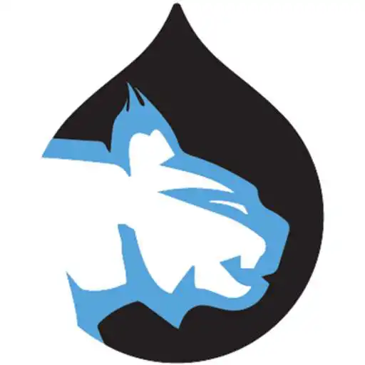 Play ClearLynx APK