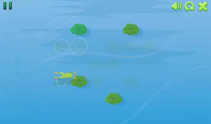 Play Clever Frog