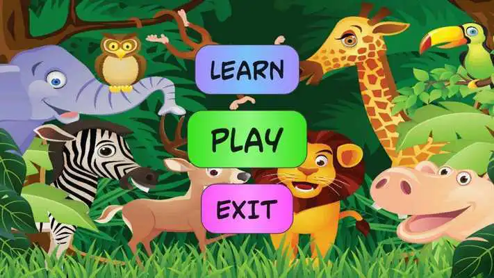 Play Clever Kid. Pictures