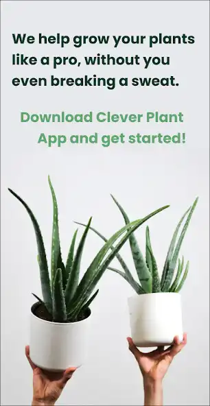 Play Clever Plant  and enjoy Clever Plant with UptoPlay