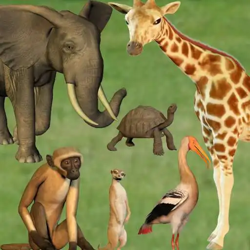 Play Click! Zoo APK Play Click! Zoo APK