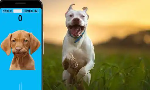Play Cliker de Perro  and enjoy Cliker de Perro with UptoPlay