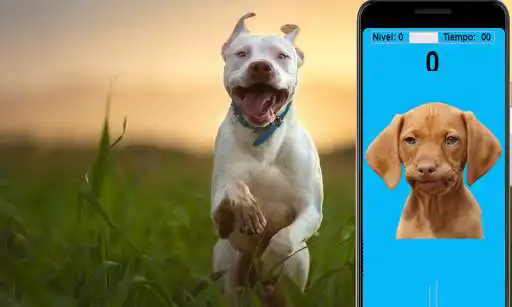 Play Cliker de Perro as an online game Cliker de Perro with UptoPlay