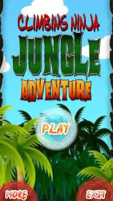 Play Climbing Ninja Adventure