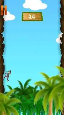 Play Climbing Ninja Adventure