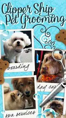 Play Clipper Ship Pet Grooming