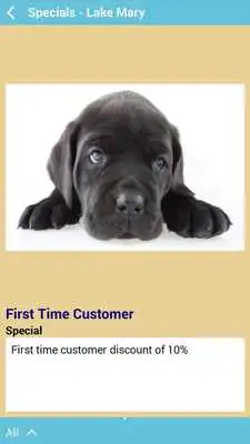 Play Clipper Ship Pet Grooming