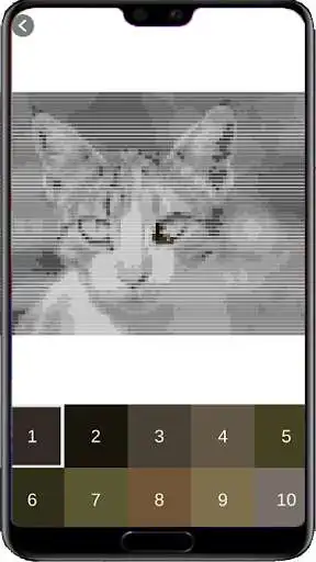 Play Cloring image cat with pixel art by number  and enjoy Cloring image cat with pixel art by number with UptoPlay