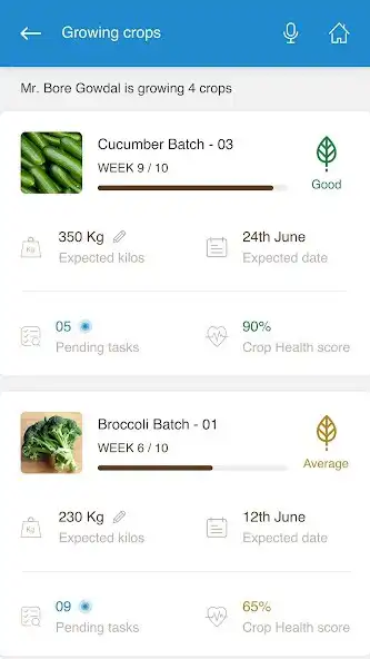 Play Clover Agro as an online game Clover Agro with UptoPlay