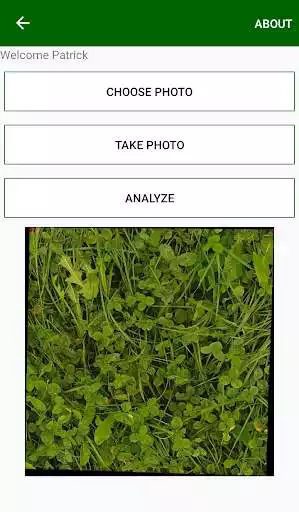 Play CloverSense Mobile Free as an online game CloverSense Mobile Free with UptoPlay
