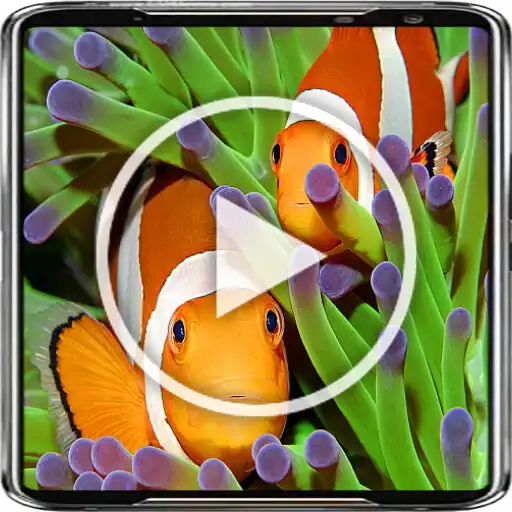 Play Clownfish Live Wallpaper 4K APK