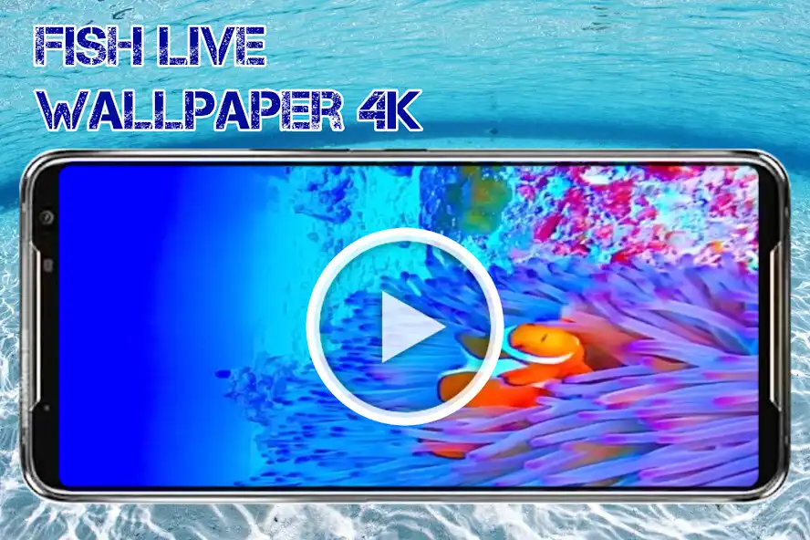 Play Clownfish Live Wallpaper 4K and enjoy Clownfish Live Wallpaper 4K with UptoPlay Play Clownfish Live Wallpaper 4K and enjoy Clownfish Live Wallpaper 4K with UptoPlay