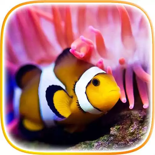 Free play online Clownfish Live Wallpaper APK