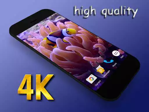 Play Clownfish Live Wallpaper