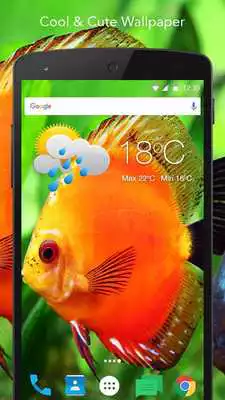 Play Clownfish Live Wallpaper