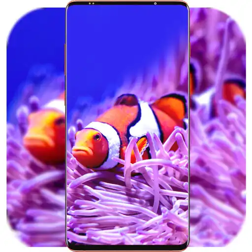 Play Clownfish Wallpaper HD APK