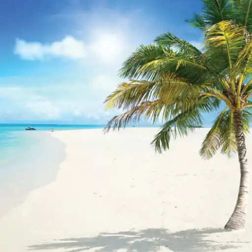 Play ClubTrip APK