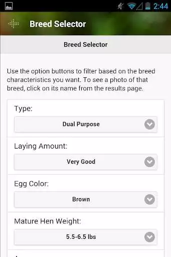 Play Cluck-ulator as an online game Cluck-ulator with UptoPlay