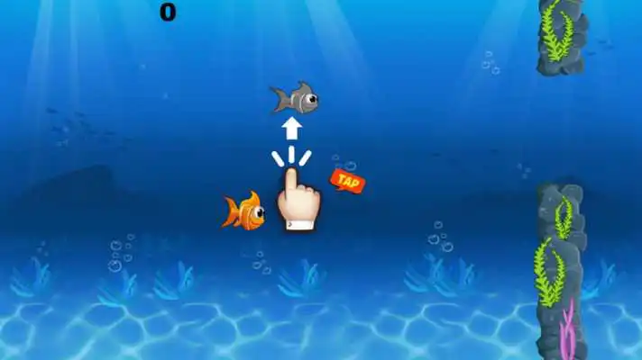 Play Clumsy Fish Nemo