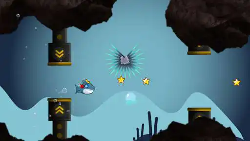 Play Clumsy Shark: Avoid Obstacles as an online game online Clumsy Shark: Avoid Obstacles with UptoPlay com.dch.clumsyShark Play Clumsy Shark: Avoid Obstacles as an online game Clumsy Shark: Avoid Obstacles with UptoPlay