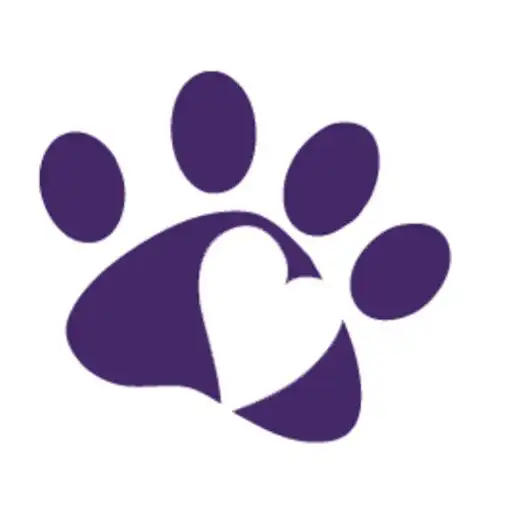 Play CLVC APK Play CLVC APK