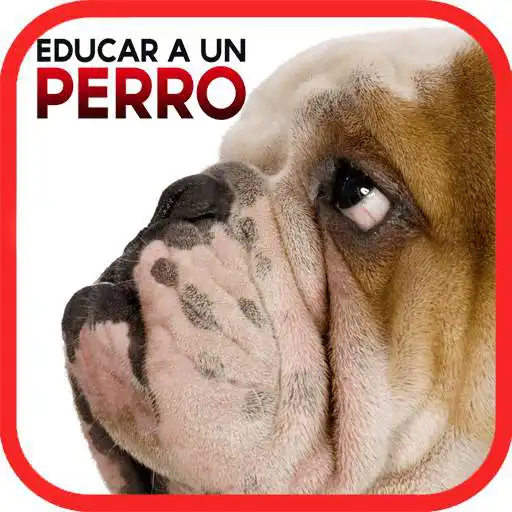 Free play online Cómo Educar a un Perro  APK