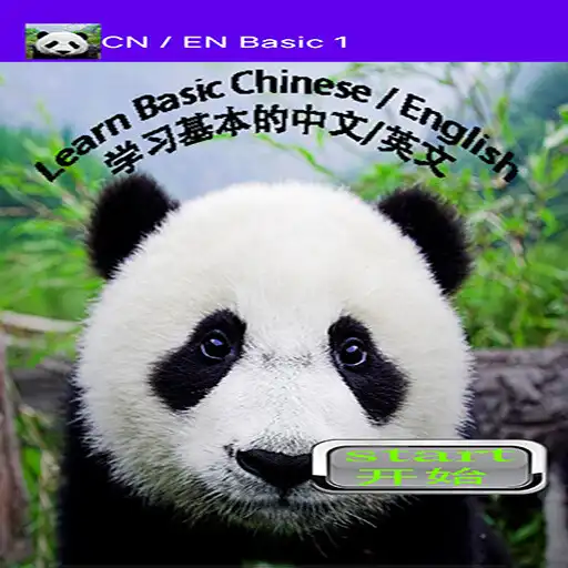 Play CN/EN Simple Basic, Begineers APK
