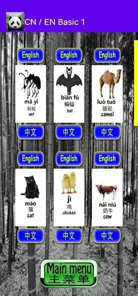 Play CN/EN Simple Basic, Begineers  and enjoy CN/EN Simple Basic, Begineers with UptoPlay