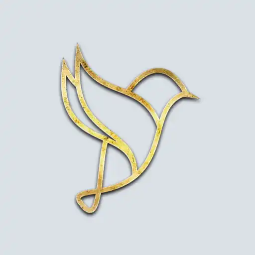 Play Coached By Zoe APK