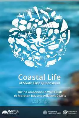 Play Coastal Life
