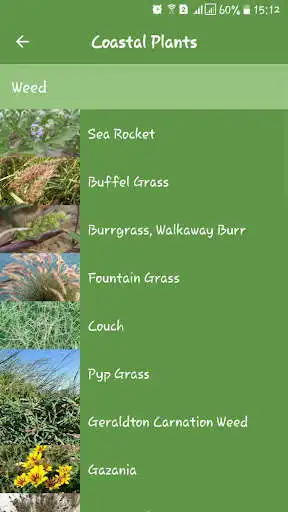 Play Coastal Plants as an online game Coastal Plants with UptoPlay