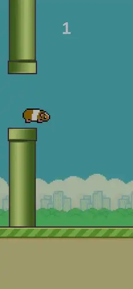 Play Cobaya Saltarina  and enjoy Cobaya Saltarina with UptoPlay