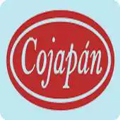 Free play online Cobranza Movil Cojapan APK Free play online Cobranza Movil Cojapan APK