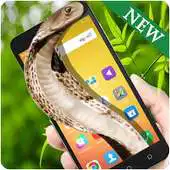 Free play online Cobra Snake on Screen - Hissing prank APK Free play online Cobra Snake on Screen - Hissing prank APK