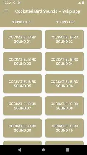 Play Cockatiel Bird Sound Collections ~ Sclip.app  and enjoy Cockatiel Bird Sound Collections ~ Sclip.app with UptoPlay