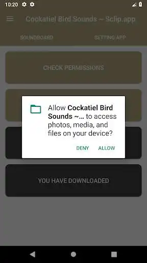 Play Cockatiel Bird Sound Collections ~ Sclip.app as an online game Cockatiel Bird Sound Collections ~ Sclip.app with UptoPlay