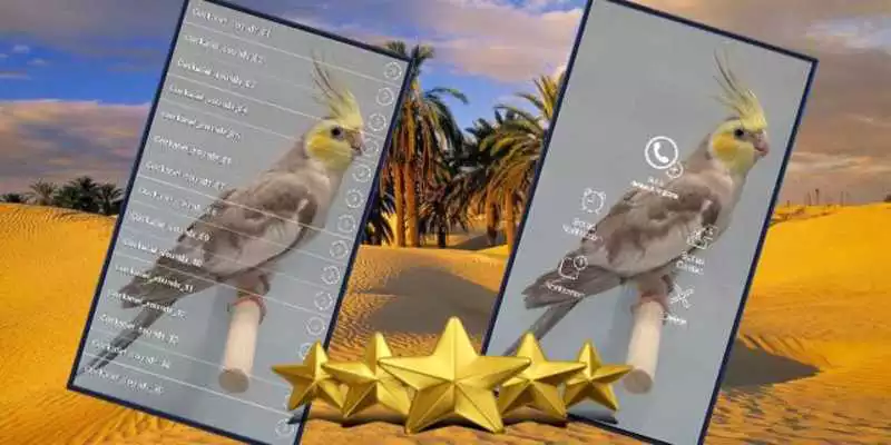 Play Cockatiel bird sounds as an online game Cockatiel bird sounds with UptoPlay