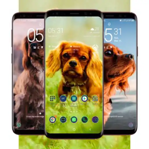 Play Cocker Spaniel Wallpaper APK