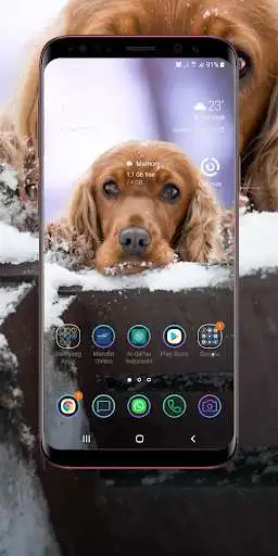 Play Cocker Spaniel Wallpaper  and enjoy Cocker Spaniel Wallpaper with UptoPlay