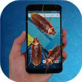 Free play online Cockroach run on screen prank APK Free play online Cockroach run on screen prank APK