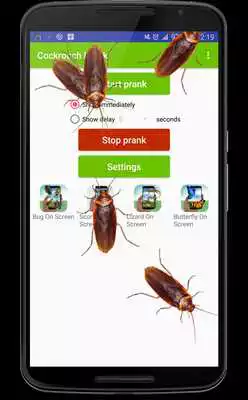 Play Cockroach run on screen prank