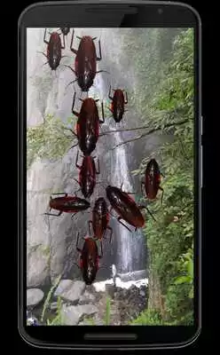 Play Cockroach run on screen prank