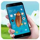 Free play online Cockroach Screen (Prank) APK Free play online Cockroach Screen (Prank) APK